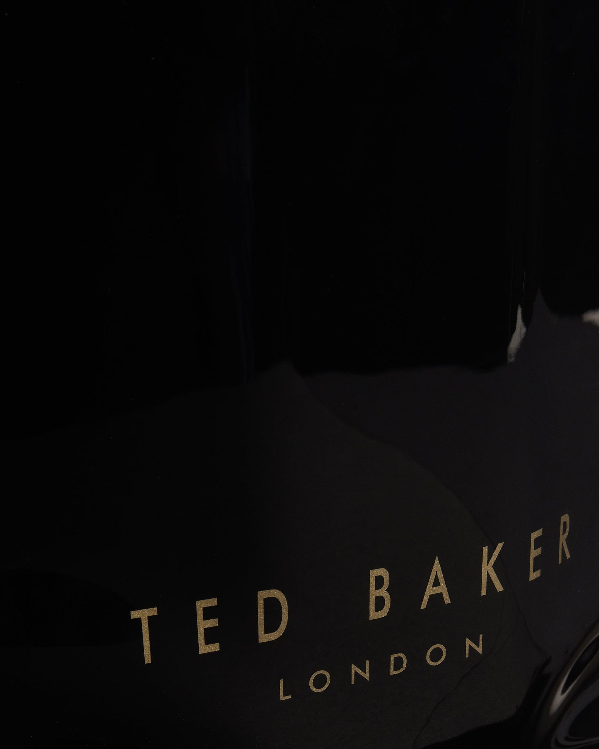 Women's Nikicon-Knot Bow Small Icon Black Ted Baker South Africa