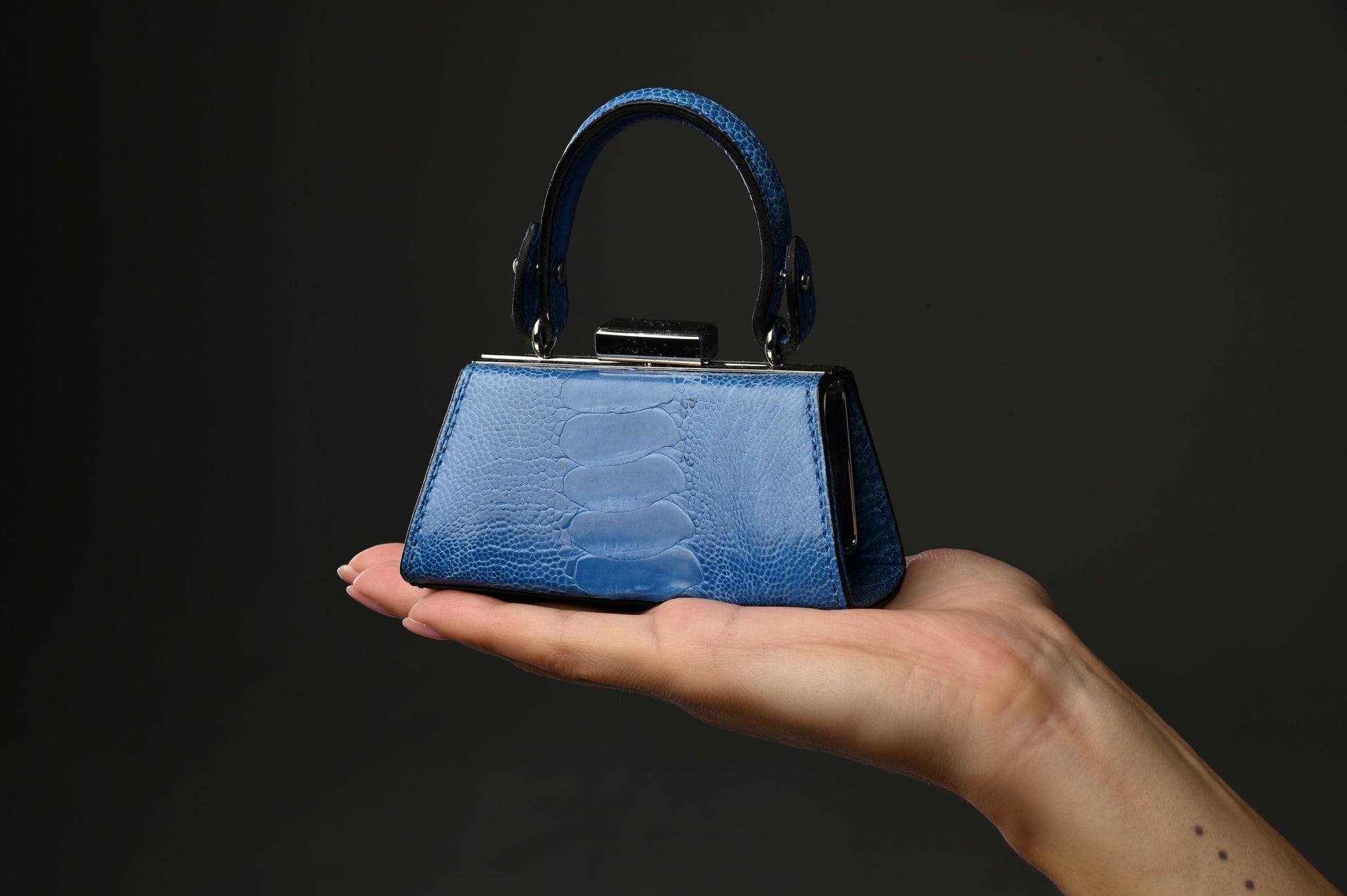 Black Nevada Ostrich Leather Micro Bag Bellabags Bellabags