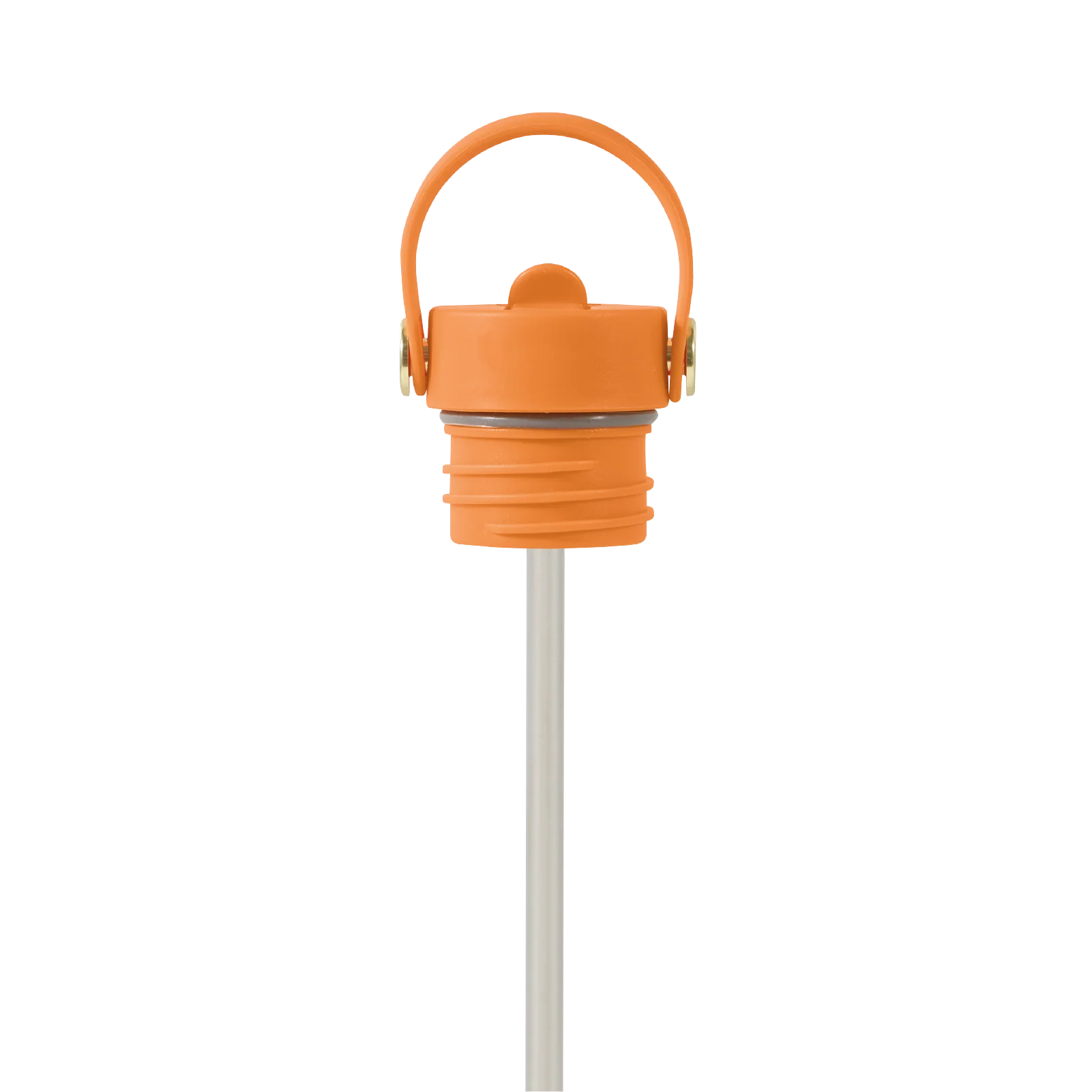 Field Bottle / Orchard Orange
