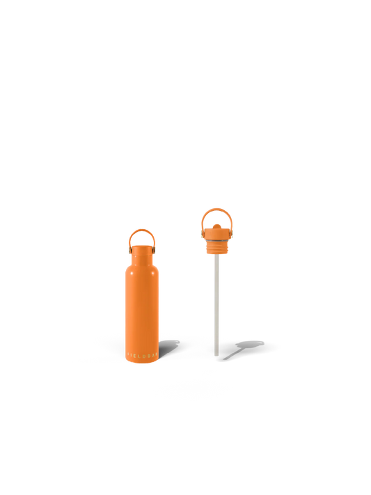 Field Bottle Sip Lid & Metal Straw / Orchard Orange