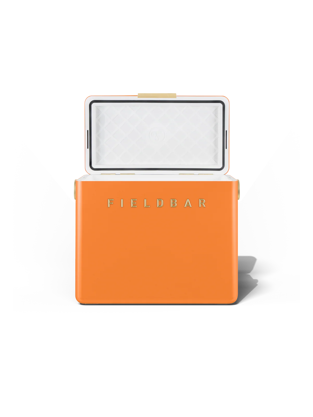 Gin Trunk / Orchard Orange