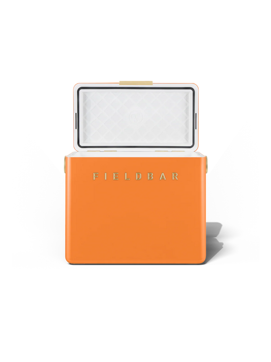 Gin Trunk / Orchard Orange